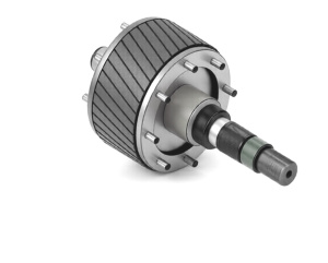 Ротор мотора